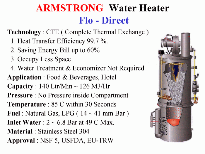 Gas Fired Water Heater - Armstrong Flo-Direct / 140 l/m ~ 126 M3/Hr |  Gamako Ekakarsa